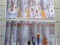 Δράσεις