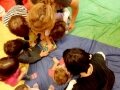 Μουσική και κίνηση